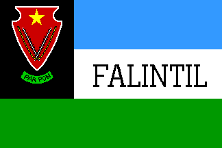 Emblema FALINTIL. Foto, Internete.